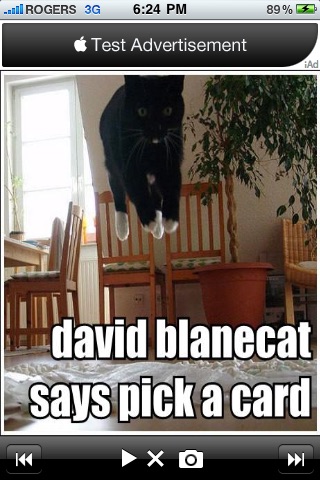 Caturday Lolcat Archive screenshot 2