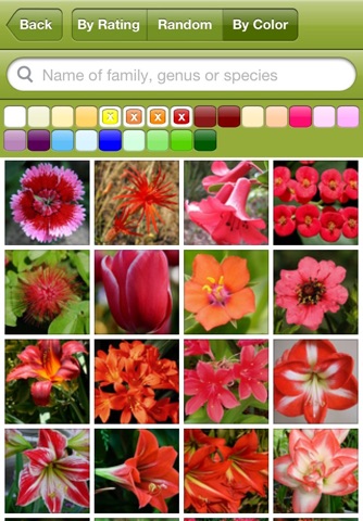 FlowerPedia screenshot 2