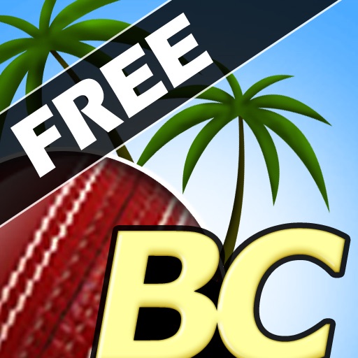 Beach Cricket Free icon