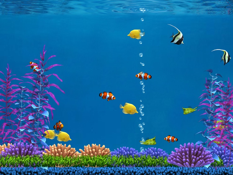 Colorful Aquarium for iPad Lite