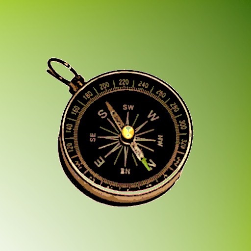 A+ Voice Compass icon