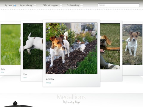 Befriending Dogs - Jack Russell terrier screenshot 3