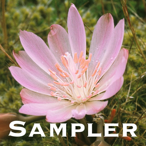 Northwest Mountain Wildflowers Sampler Icon