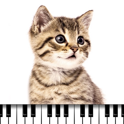 Piano Cat Icon