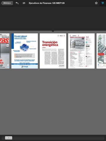 Revista IMEF screenshot 3