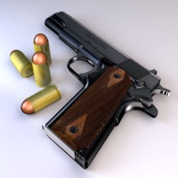  Guns & Ammo : Point of Impact Reloaded Alternatives