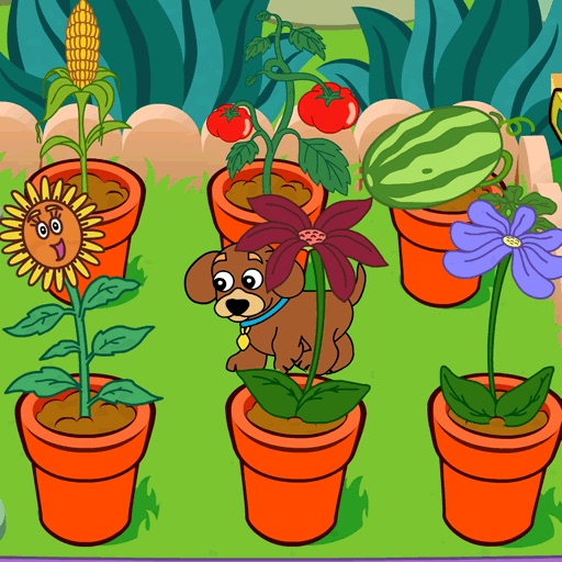 Magical Garden iOS App