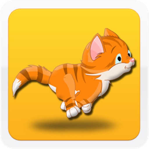 Cool Cat Adventure Race A Cute Kitty Jump Racing Game Icon