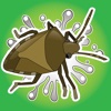 Stink Bug Smash