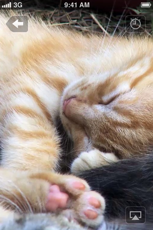 Serenity ~ the relaxation app