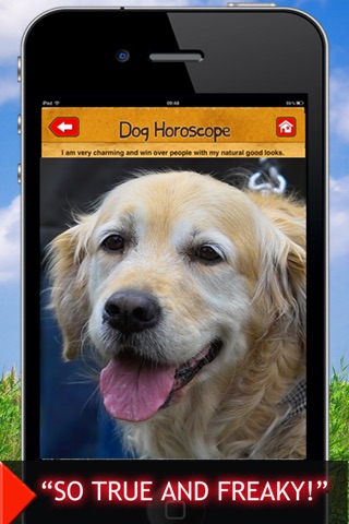 Dog horoscope booth: Free astrology readings for your pet screenshot 4
