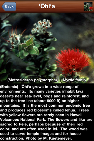 Plants of Hawaii Volcanoes National Park screenshot 2