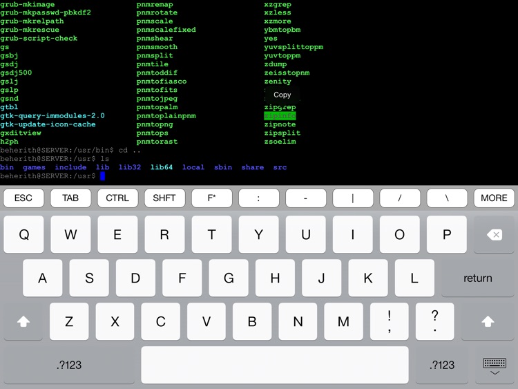 vSSH HD Lite
