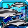 Delilah the Dolphin - Cute Puzzle Game