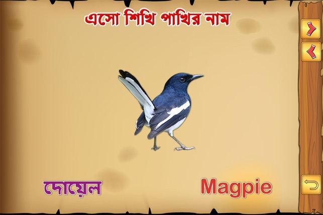 Bengali Birds(圖3)-速報App