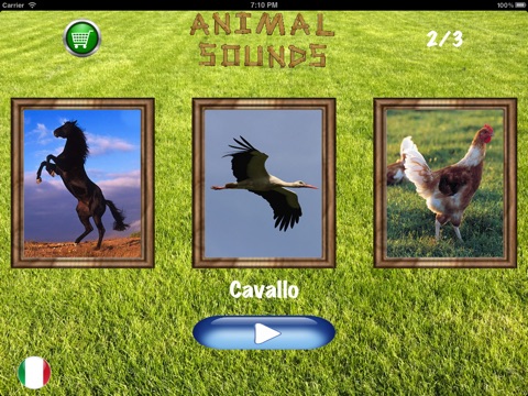 Find The Animal HD screenshot 4