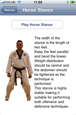 Taekwondo Stances screenshot 3