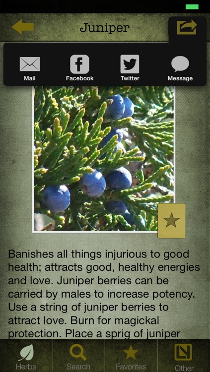 Herbs in Magick screenshot-4