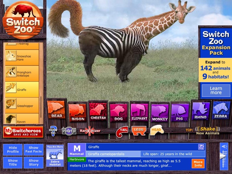 Switch Zoo Free
