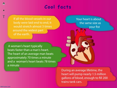 Body Organs 4 Kids screenshot 3