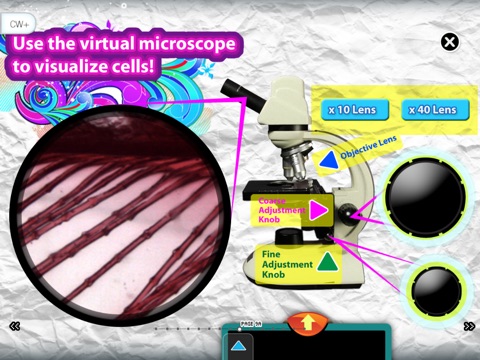 Cells (School) screenshot 4