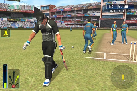 Cricket WorldCup Fever Deluxe screenshot 4