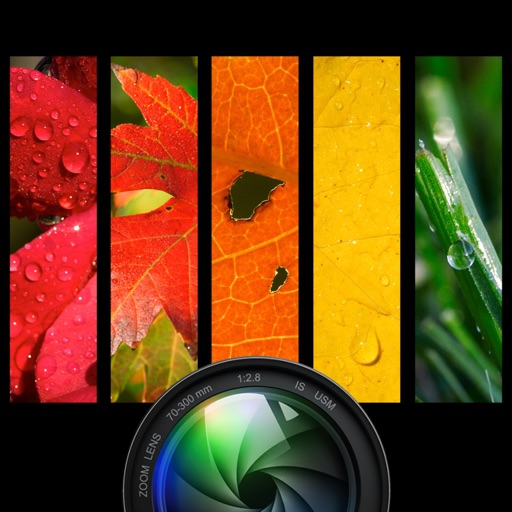 InstaFrames Fx icon