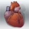 The availability of new antithrombotic agents, each with a unique efficacy and bleeding profile, has introduced a considerable amount of clinical uncertainty with physicians