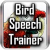 Bird Speech Trainer