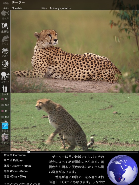 Animal Life Free for Japan screenshot-4