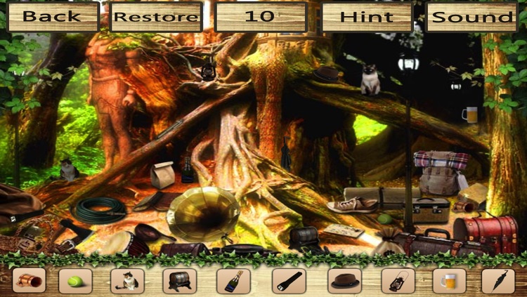 Hidden Objects???? screenshot-3