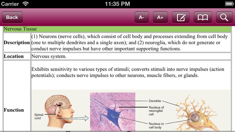 Principles of Anatomy and Physiology for iPhone screenshot-3