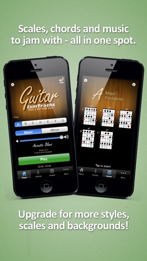 Guitar Jam Tracks: Acoustic Blues - Free Scales App(圖3)-速報App