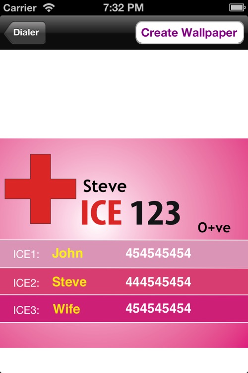 ICE 123