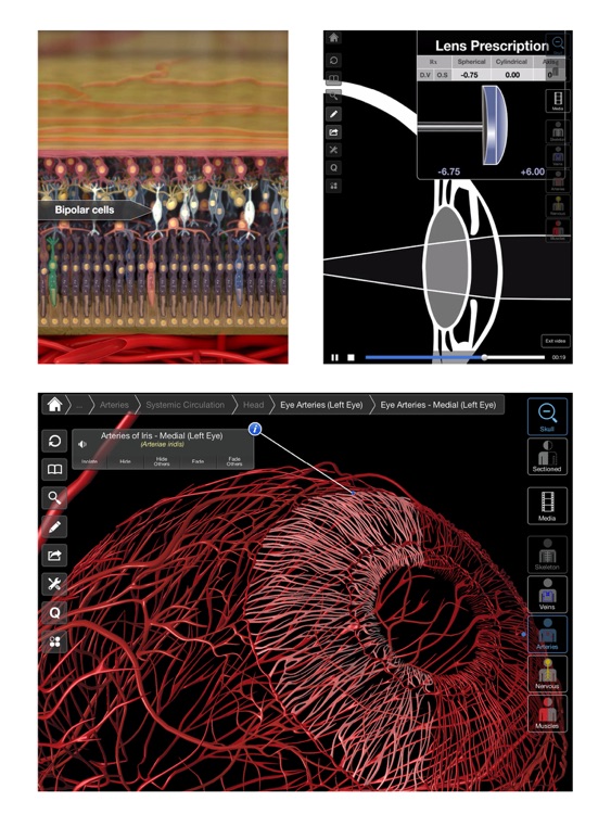 Eye - Practical Series