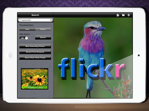 Flickr Photo Viewer And Puzzle Maker screenshot 2