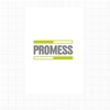 Promess DE