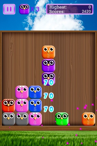 KiwiBird - Strategy Puzzle Game with Cute Birds screenshot 3