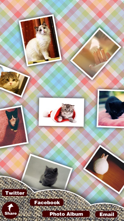 Picture Collage Free plus Split Frame Magic & Line Camera Effects screenshot-4