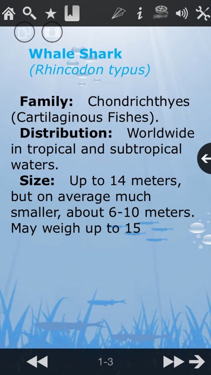 Guide To Tropical Marine Fish 2 screenshot-4