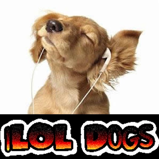 Always Cute iLOL Dogs-3,001 Pics + Vids icon