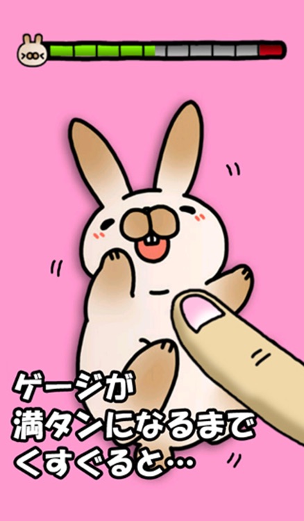 Tickling rabbit