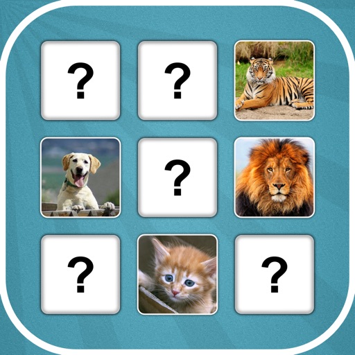 Brain Trainer With Animals Icon