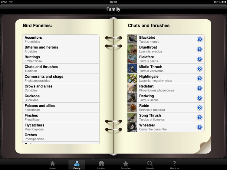 Bird Identifier HD