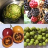 Guess The Fruit And Vegetable Quiz