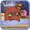 Bed Bug Plague