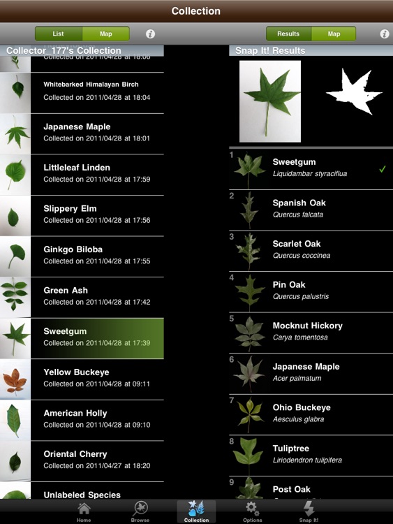 Leafsnap For iPad screenshot-4