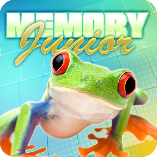 Memory Junior icon