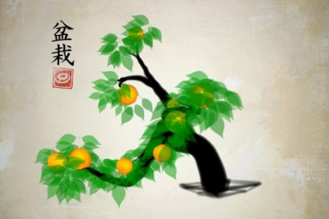 iBonsai screenshot-4