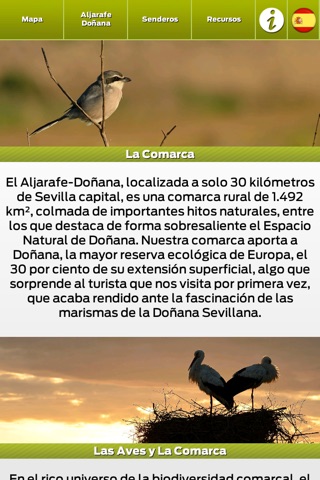 Birding Aljarafe-Doñana screenshot 2